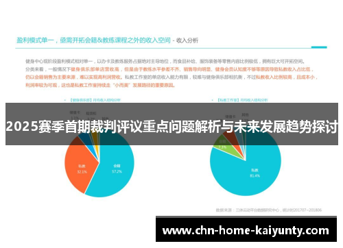 2025赛季首期裁判评议重点问题解析与未来发展趋势探讨