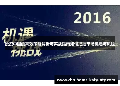 投资中国的高效策略解析与实战指南如何把握市场机遇与风险