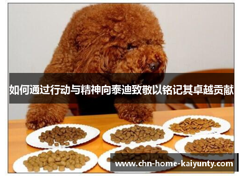 如何通过行动与精神向泰迪致敬以铭记其卓越贡献