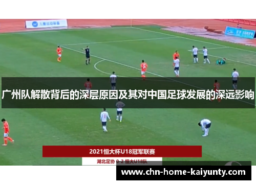 广州队解散背后的深层原因及其对中国足球发展的深远影响