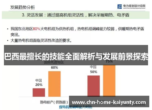 巴西最擅长的技能全面解析与发展前景探索