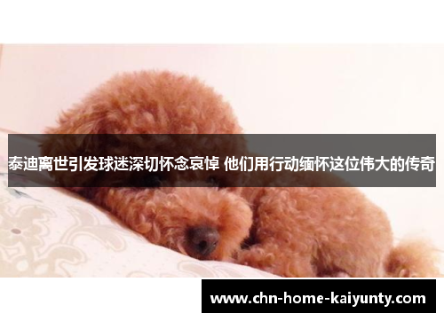 泰迪离世引发球迷深切怀念哀悼 他们用行动缅怀这位伟大的传奇