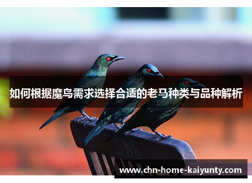 如何根据魔鸟需求选择合适的老马种类与品种解析
