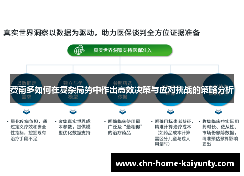 费南多如何在复杂局势中作出高效决策与应对挑战的策略分析