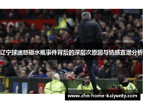 辽宁球迷怒砸水瓶事件背后的深层次原因与情感宣泄分析